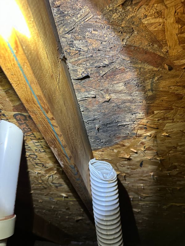 Insurance Inspections
