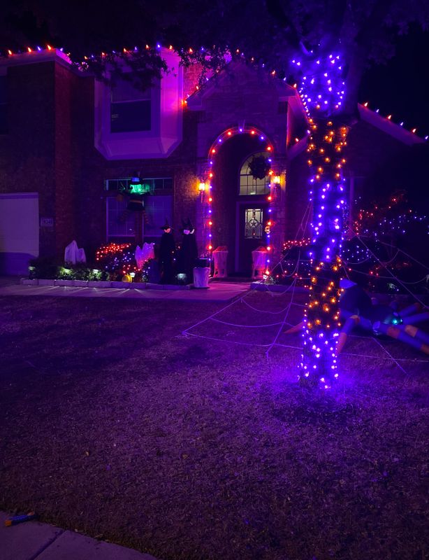 Landscape Lighting