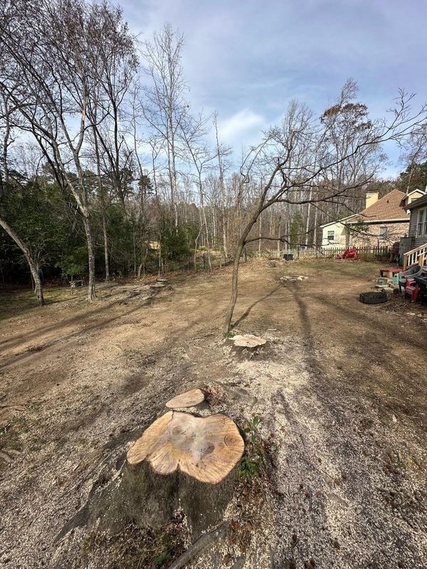 Stump Removal