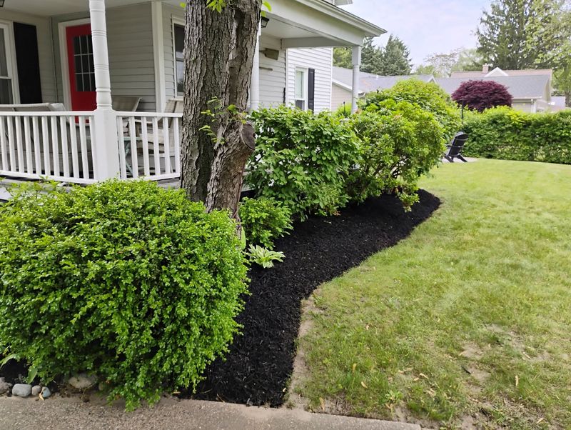 Lawn Maintenance