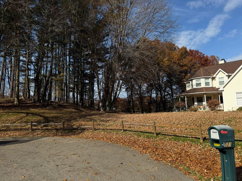 Fall Clean Up