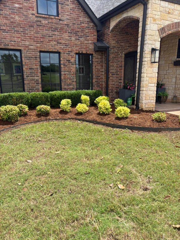 Shrub Trimming/Removal