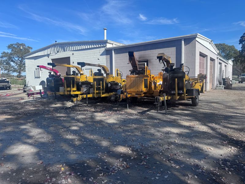 Tree Removal
