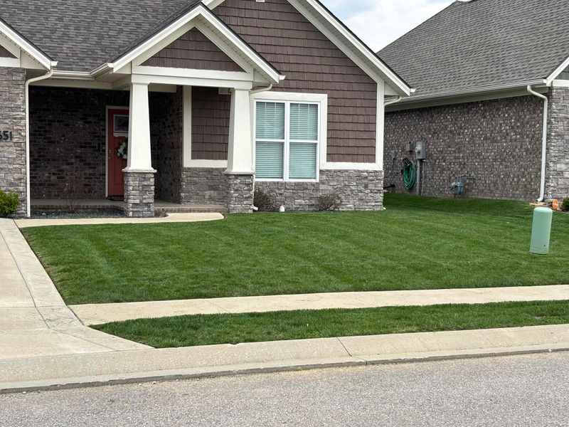 Landscaping 
