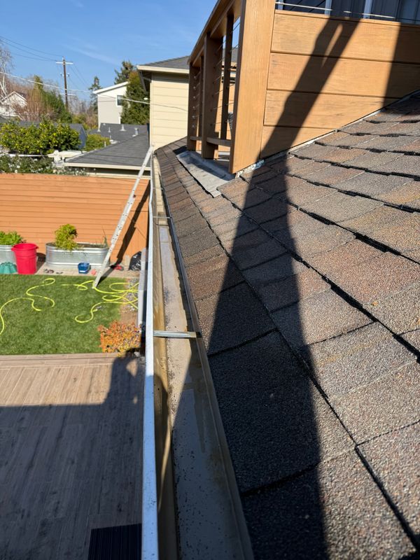 Gutter cleaning 