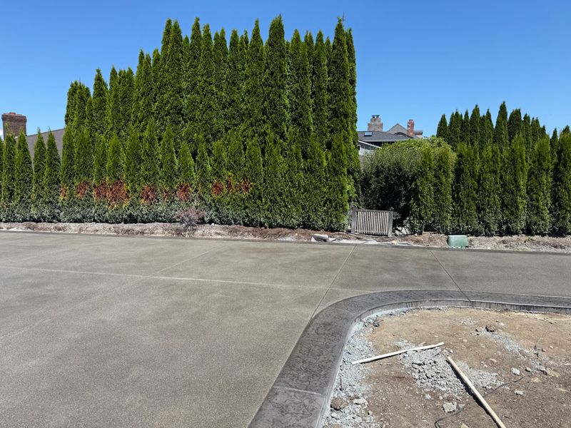 Demo and Ground Preparation
