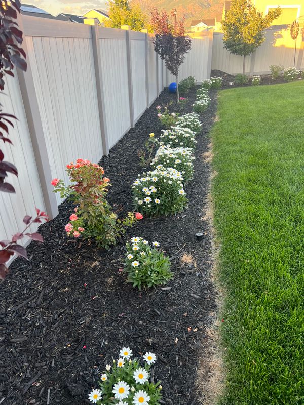 Mulch Installation