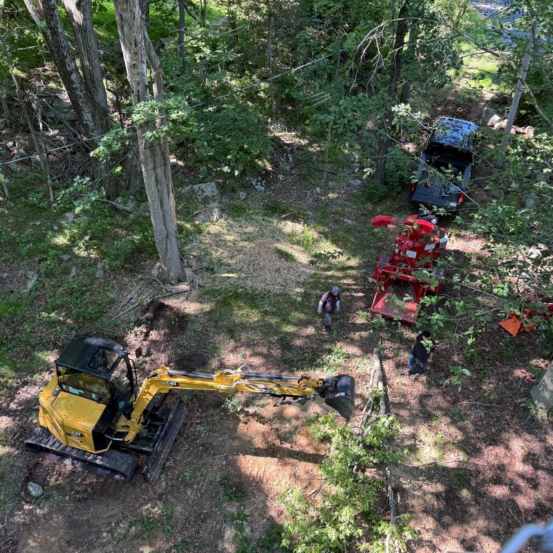 Land Clearing