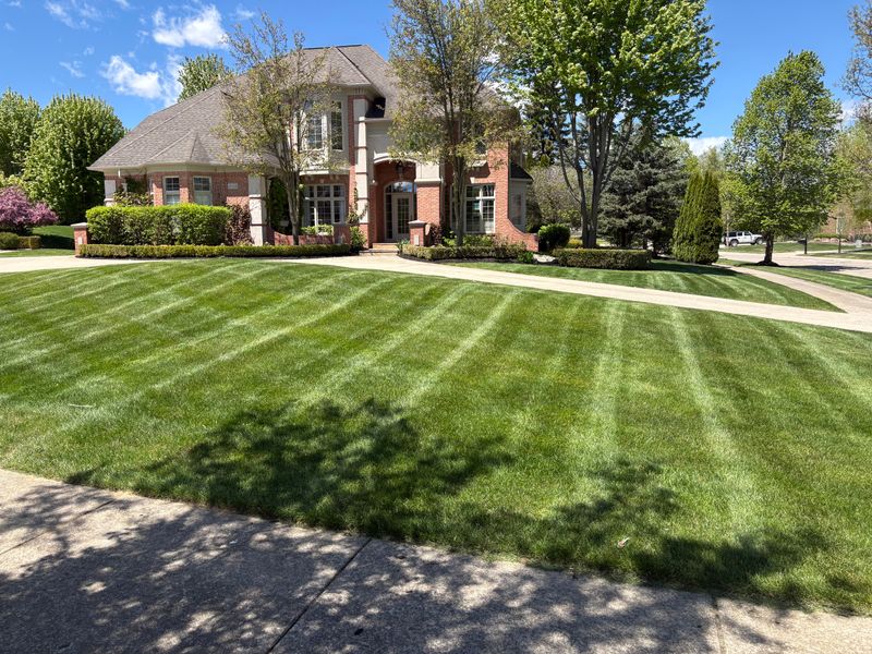 Transform Your Outdoor Space with Alfie's Landscaping Expertise