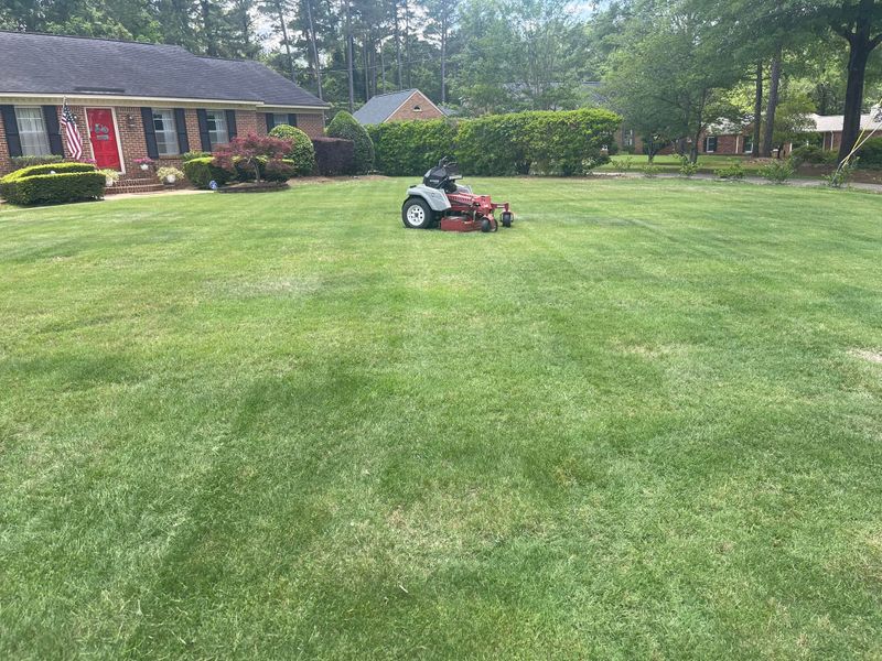 Full Lawn Services