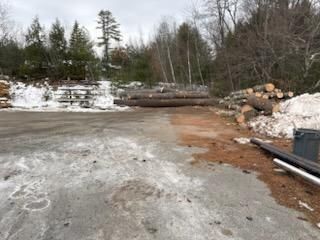 Elevating Wilton’s Landscape with Expert Tree Removal and Clearing