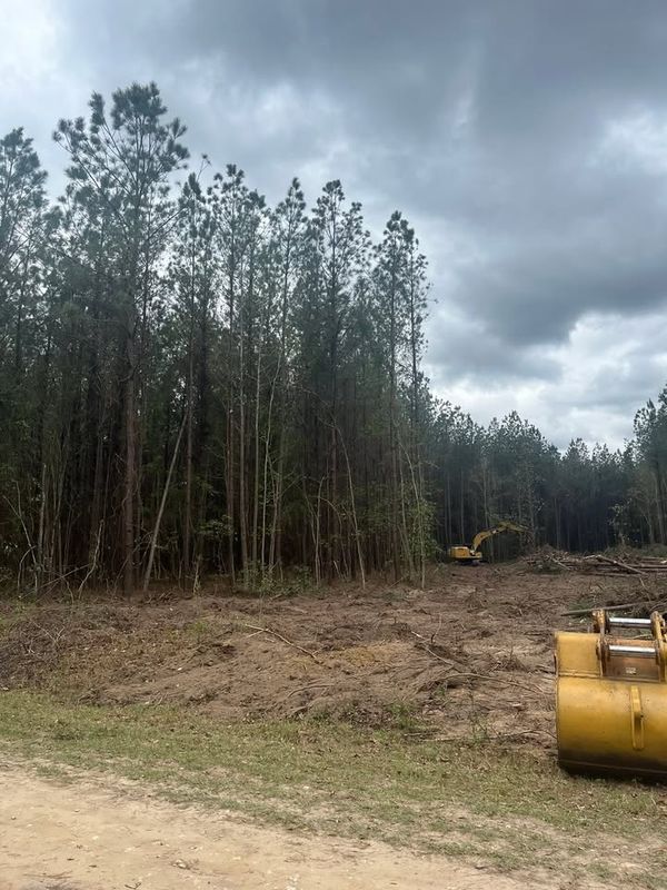 Land Clearing & Demolition