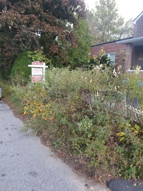Spring & Fall Cleanups
