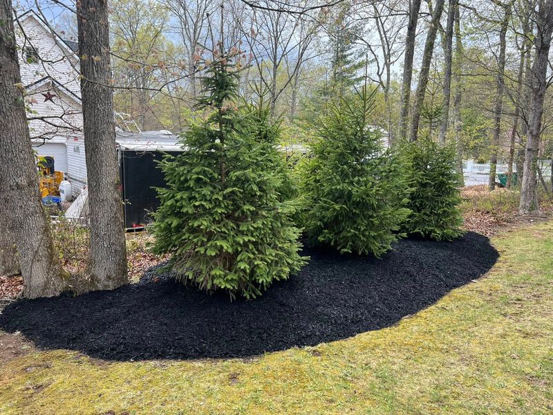 Plant & Shrub Installations