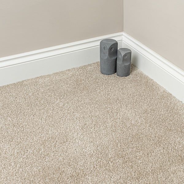 Carpet Cleaning