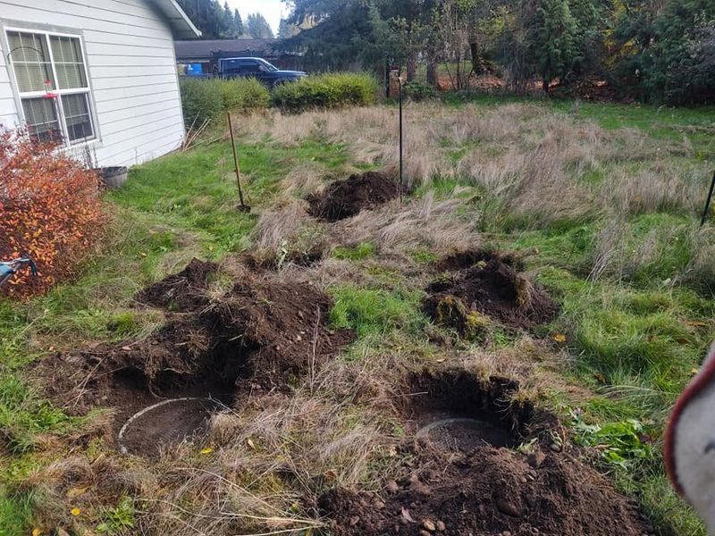 Septic Services
