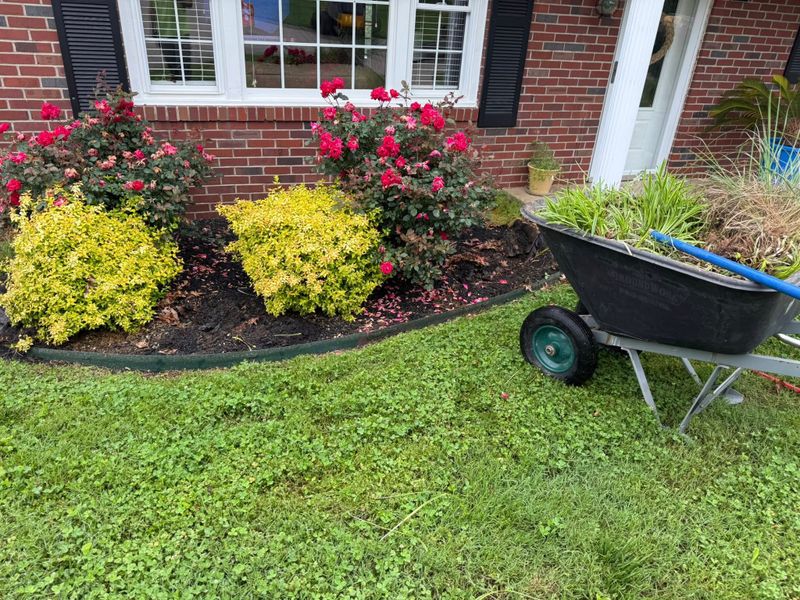 Landscape Design