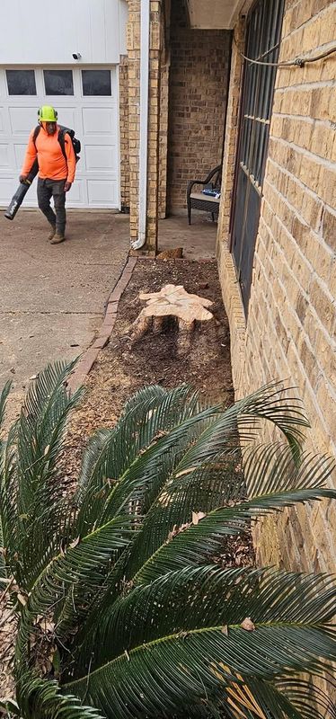 Stump Removal