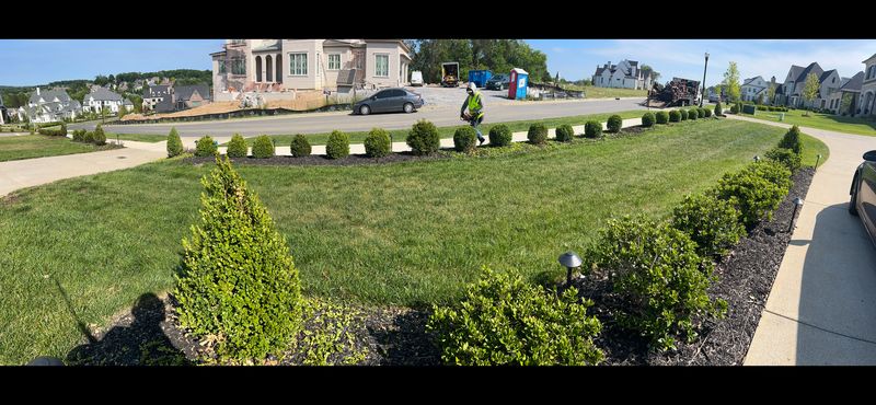 Mowing
