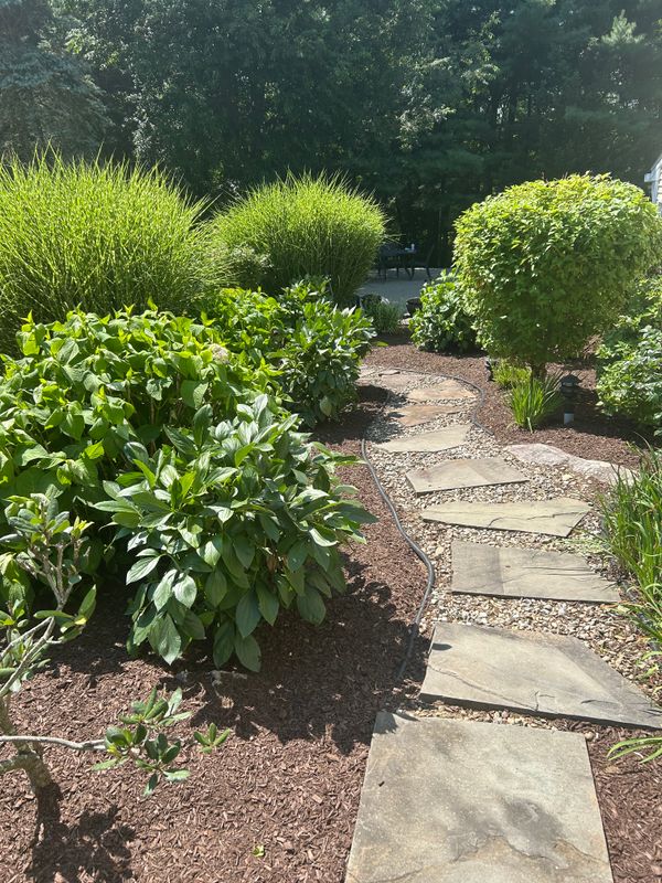 Patio Design & Construction