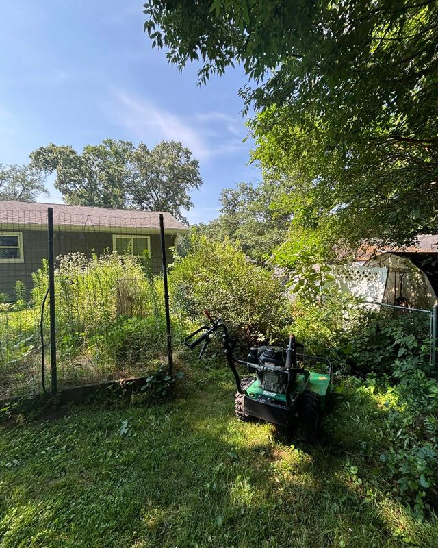 Hedge Trimming