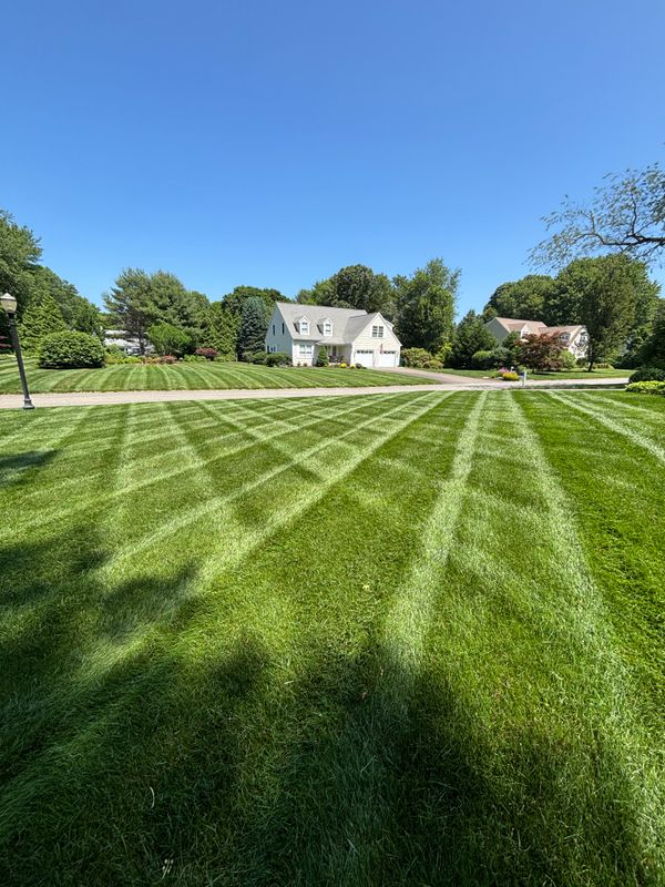 Premium Lawn Maintenance