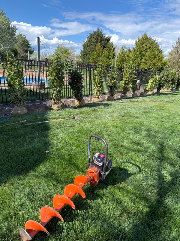 Tree & Perennial Planting