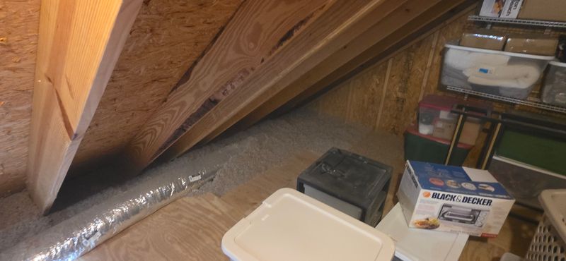 Eco-Friendly Insulation Options