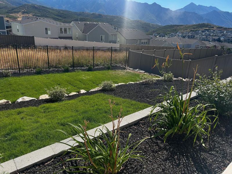 Mulch Installation