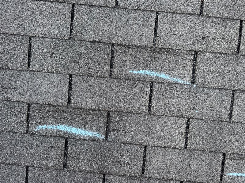 Roofing Consultations