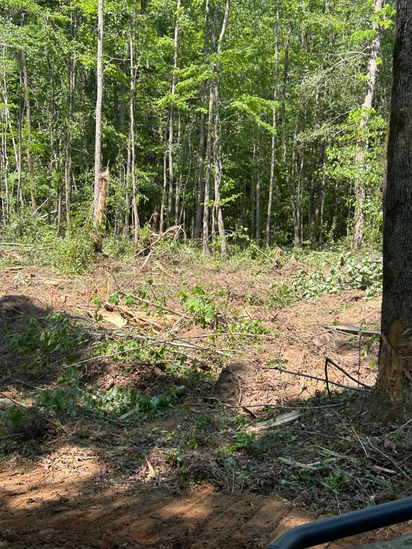 Land Clearing