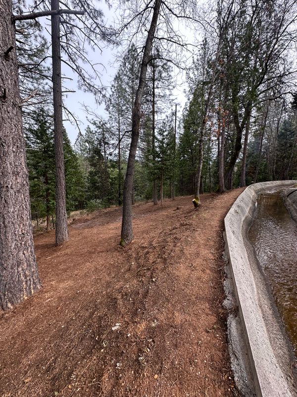 Defensible Space