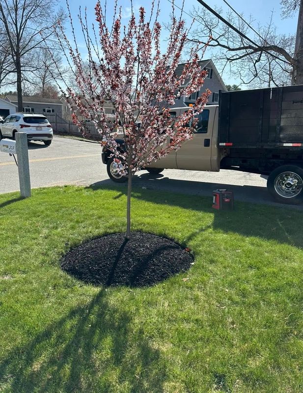 Landscaping
