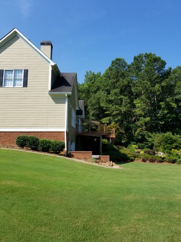 Small - Medium Tree Removal and Trimming