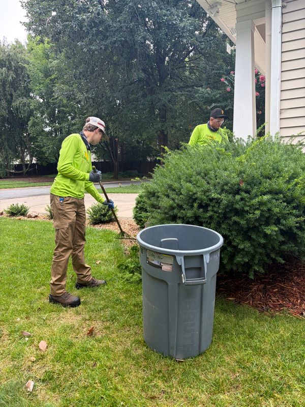 Lawn Care Services