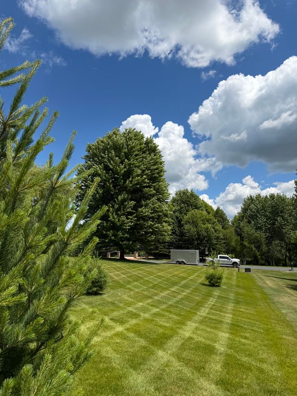 Lawn Maintenance