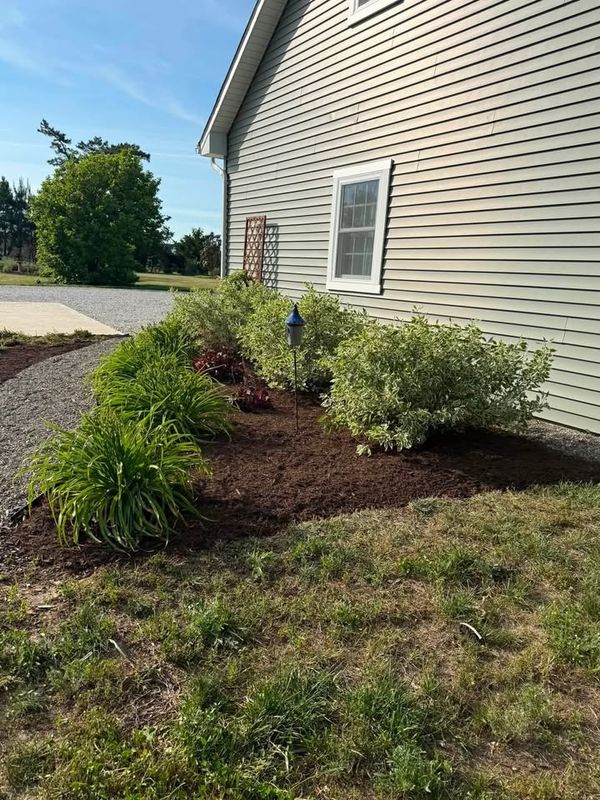 Landscape Design & Installation