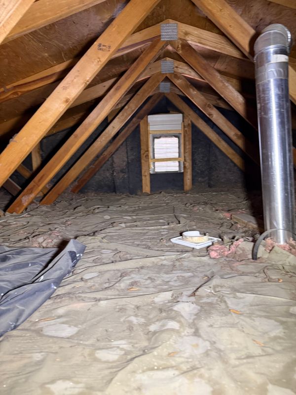 Free Attic Inspections