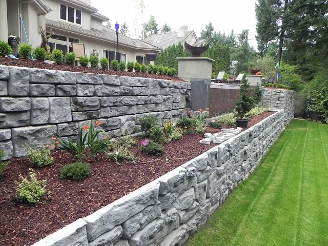 Tree & Shrub Care