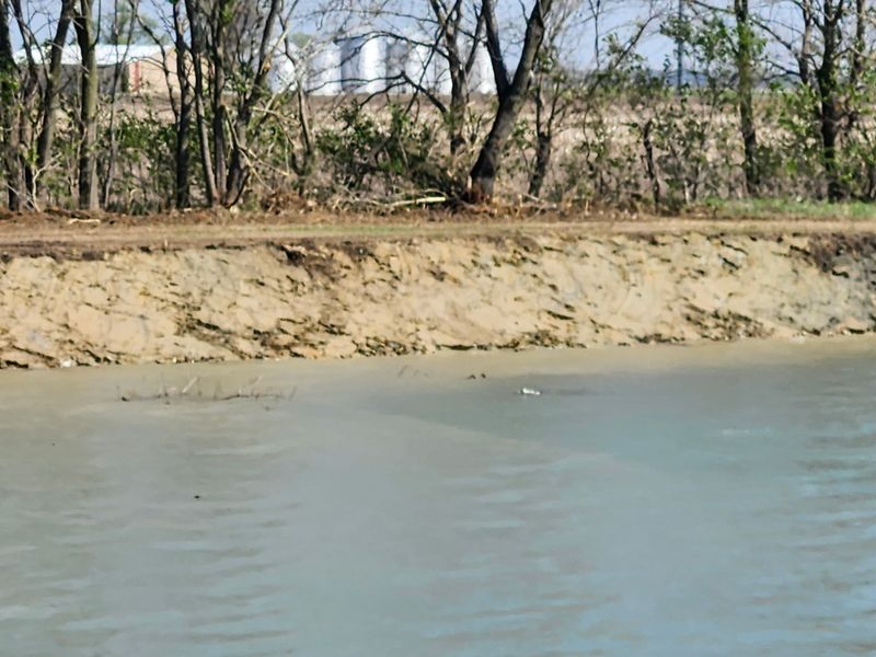 Ponds
