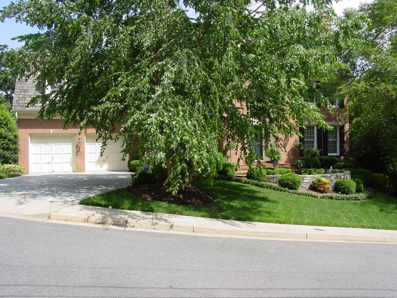 Landscape Design