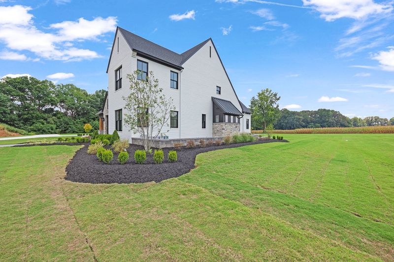 Lawn Care and Maintenance