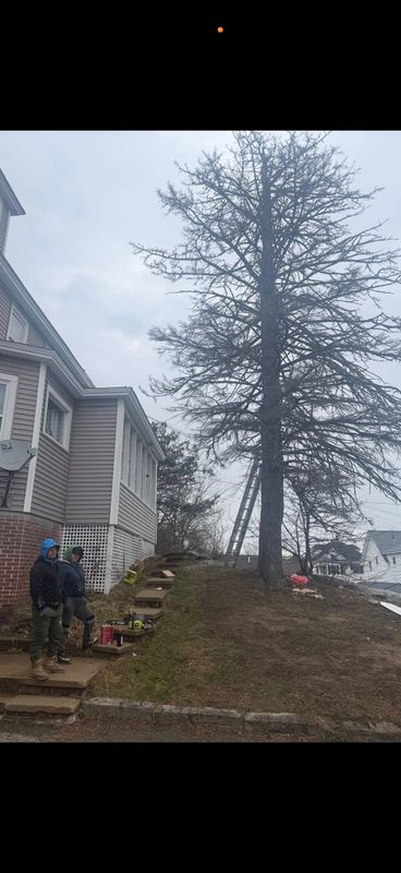 Concrete & Structural Removal