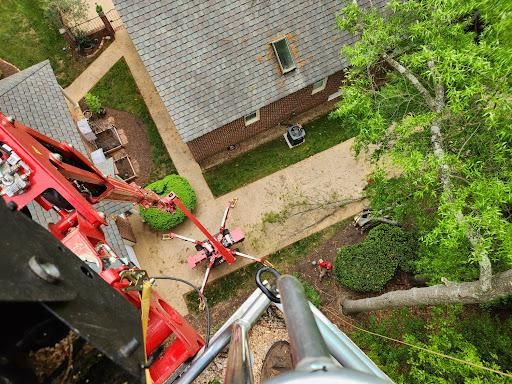Emergency services and Storm Damage