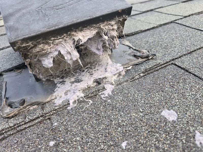 Dryer Vent Cleaning