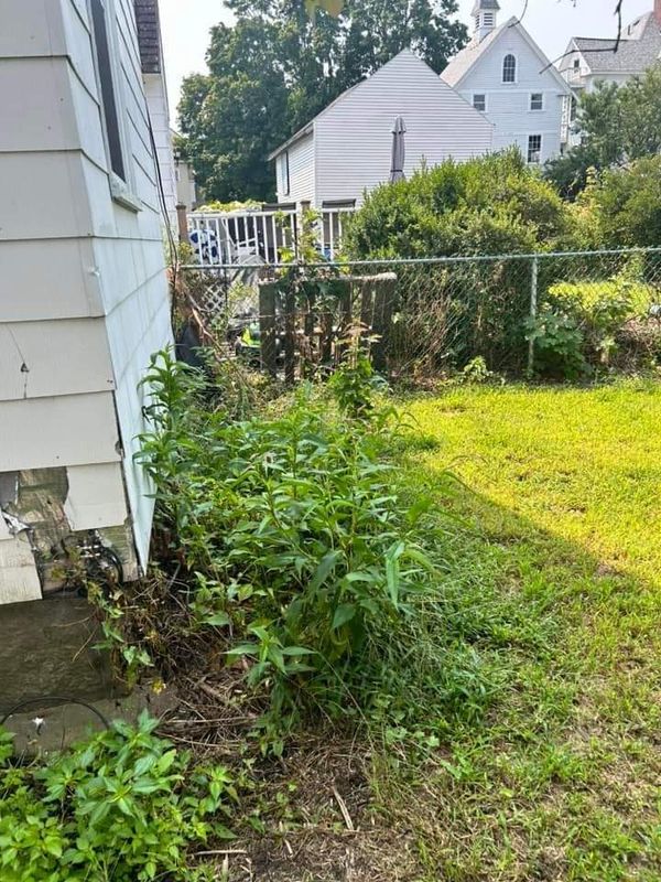  Growth Removal