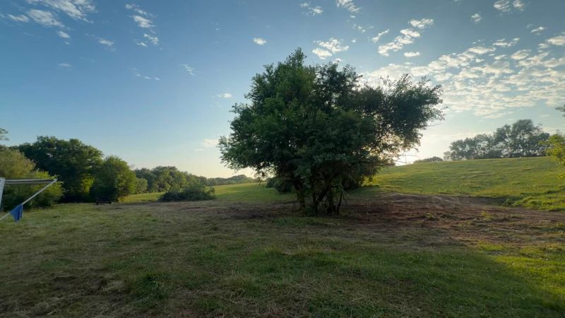 Land Clearing