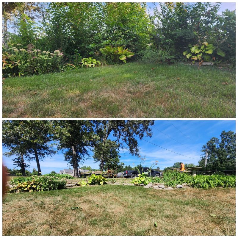 Lawn Maintenance