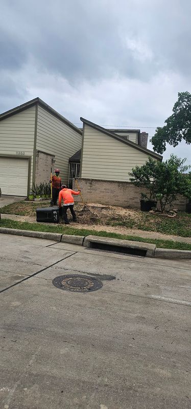 Tree Removal gallery