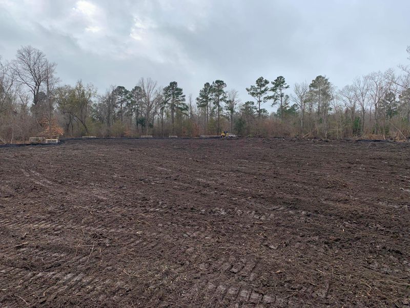 Land Clearing
